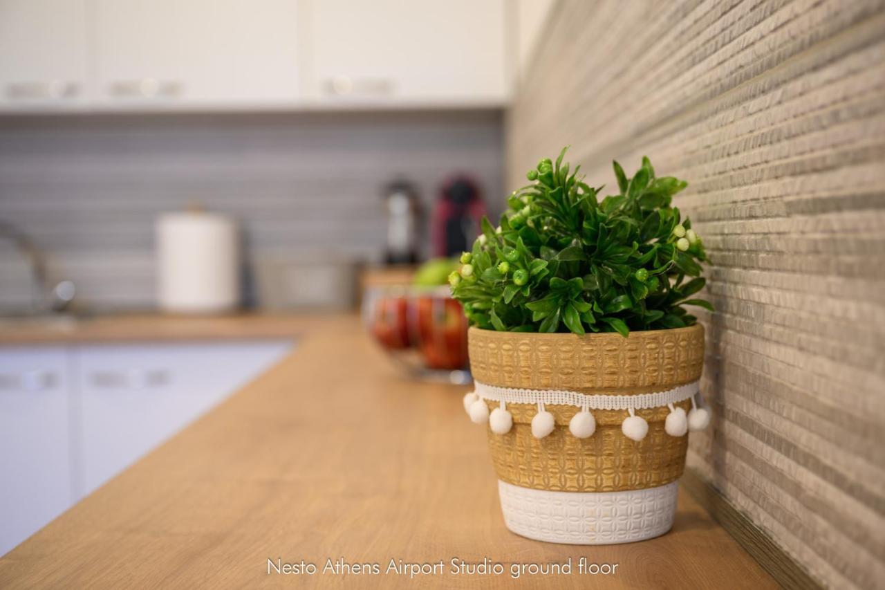 Apartament Nesto Athens Airport Zen Spáta Zewnętrze zdjęcie