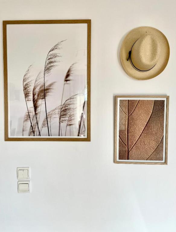 Apartament Nesto Athens Airport Zen Spáta Zewnętrze zdjęcie